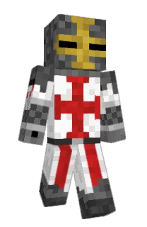 Front of Priliii's skin