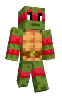 Front of 4852's skin