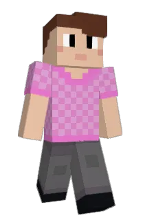 Front of Splashion's skin