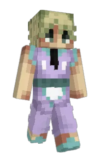 Front of SurfinMelon's skin