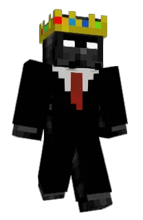 TRYXZZ's Minecraft skin
