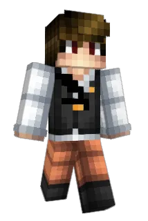 11FPS_ Minecraft avatar full body