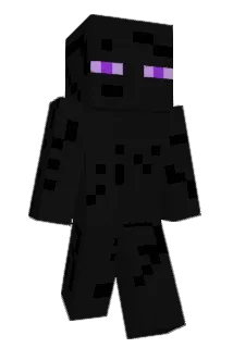 11RLS11 Minecraft avatar full body