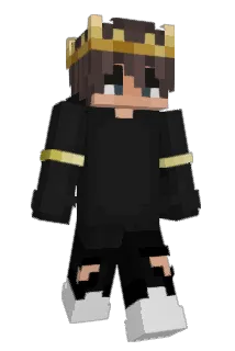 11_Ste Minecraft avatar full body