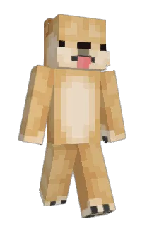 Front of kruzona's skin