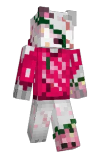 Front of AuroralNight's skin