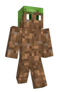popon's Minecraft skin