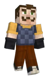 Skin preview