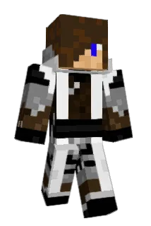 11allancam Minecraft avatar full body
