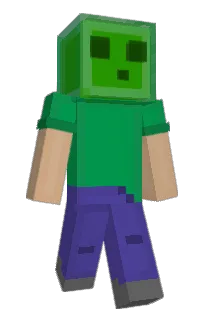Front of TaxPayerMoney's skin