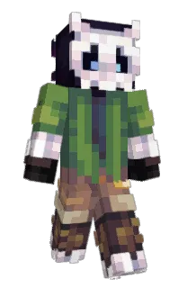 Front of SCHD's skin