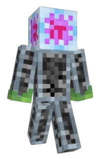 Front of Minecraft skin