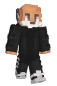 Icyboy500
