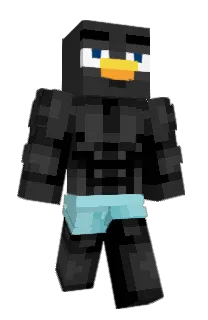 Front of pxxel's skin