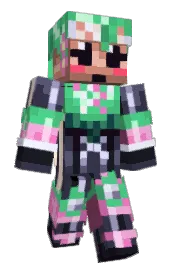 Skin preview