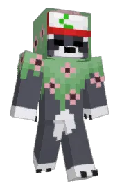 Skin preview