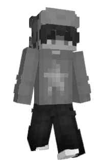 Front of R3IW's skin