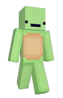 Front of DedTurtle's skin