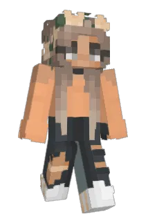 11ella2017 Minecraft avatar full body