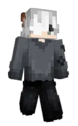 mid gray and silver Minecraft skin — Classic model
