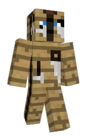 Skin preview