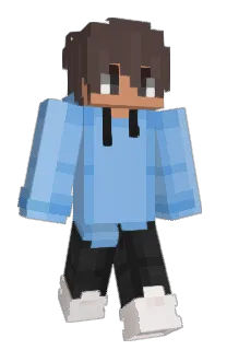Front of DWT003's skin