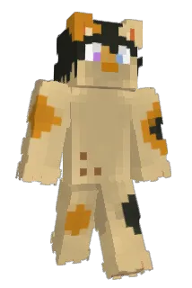 11hh Minecraft avatar full body