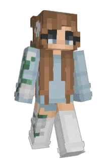 11t4 Minecraft avatar full body