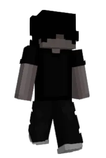 11x2 Minecraft avatar full body