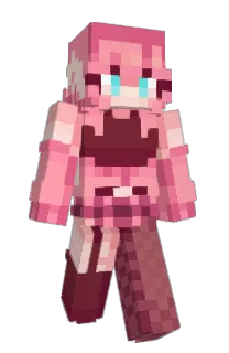 Front of tinkerary's skin