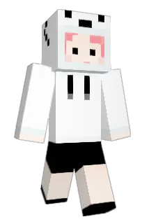 120YR Minecraft avatar full body