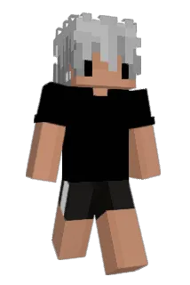 1210nam Minecraft avatar full body