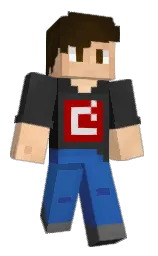 Minecraft skin — Classic model