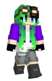 Skin preview