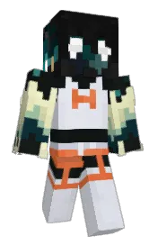 Skin preview