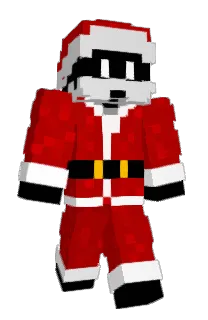Front of _SEIDN_'s skin