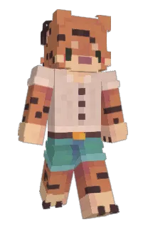 Front of Pokijuka's skin