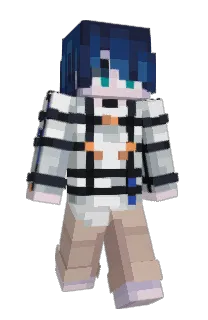 TheZohan5031's Minecraft skin