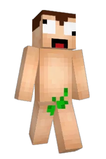 12333333_ Minecraft avatar full body