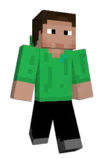 12335 Minecraft avatar full body