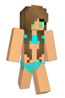 1234432nn Minecraft avatar full body