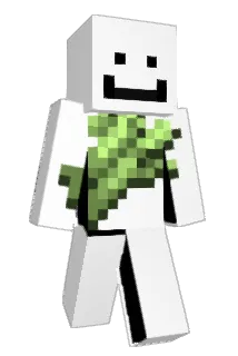 1242345 Minecraft avatar full body