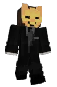 MaxMiner11