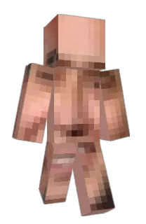 Front of Fortnajt's skin