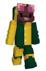 Skin preview