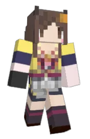 Skin preview