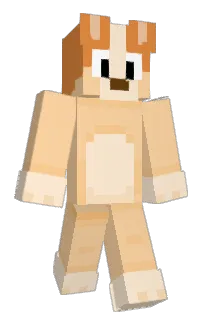 Front of Ray777111's skin