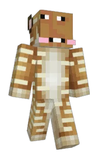 Front of bboss_02's skin