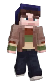 Skin preview