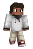 12515 Minecraft avatar full body